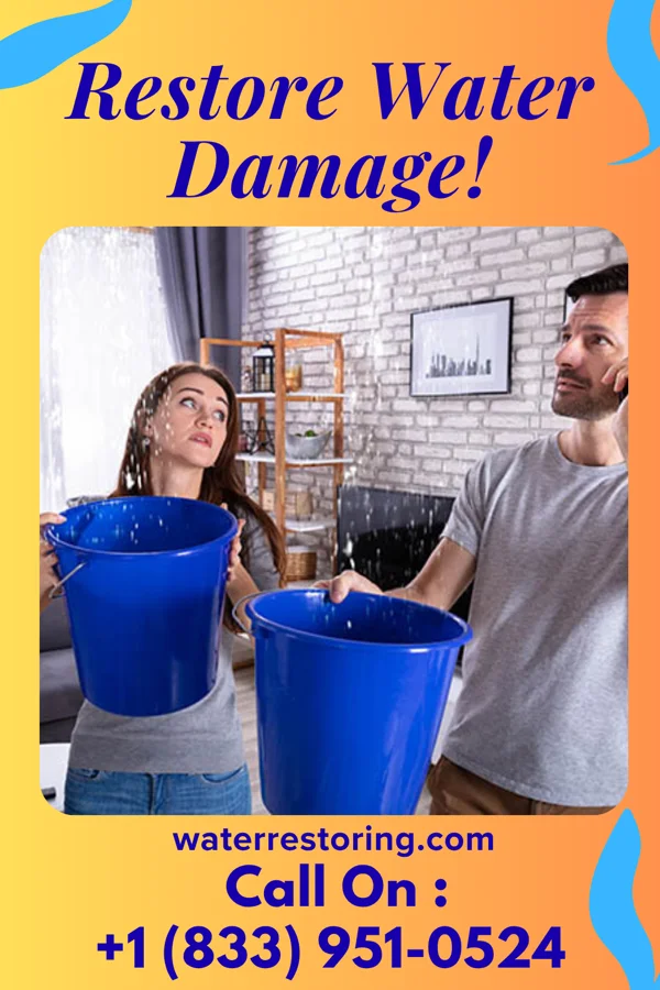 water restoration Stellar Disaster Recovery Co Braddock Hills