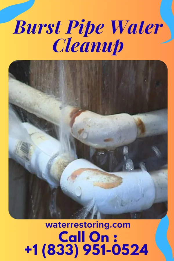 Burst Pipe Water Cleanup in Braddock Hills, PA