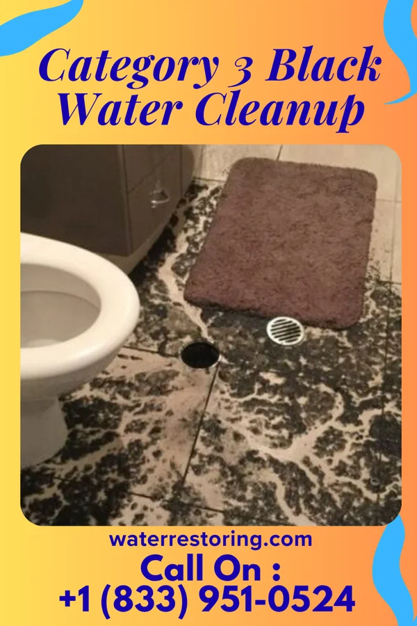 Category 3 Black Water Cleanup in Braddock Hills, PA