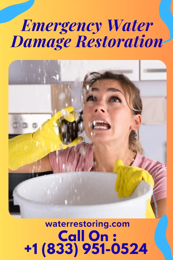 Emergency Water Damage Restoration in Braddock Hills, PA