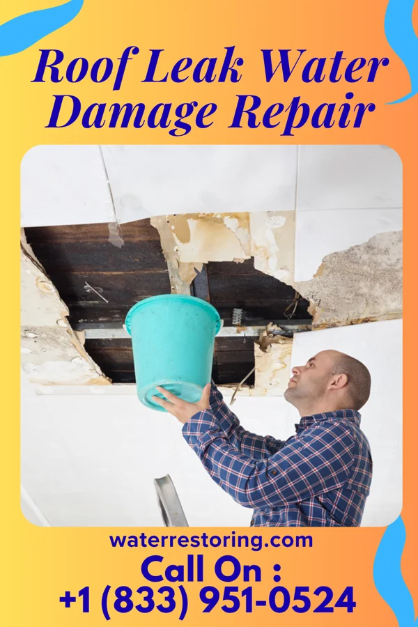 Roof Leak Water Damage Repair in Braddock Hills, PA