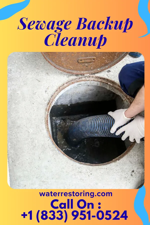Sewage Backup Cleanup in Braddock Hills, PA