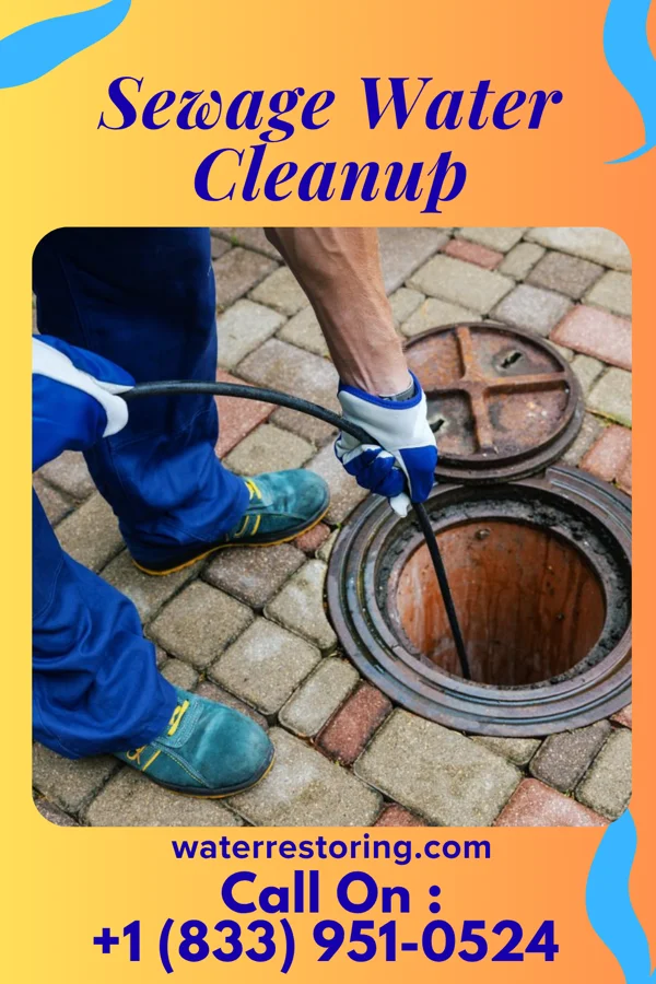 Sewage Water Cleanup in Braddock Hills, PA